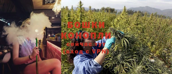 PSILOCYBIN Арсеньев