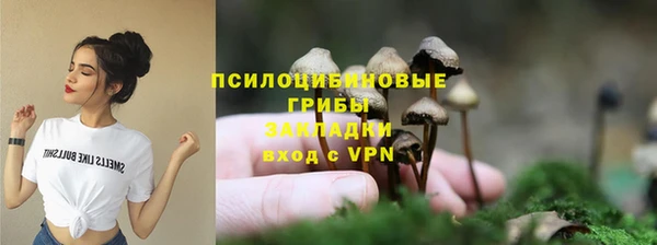 Альфа ПВП Армянск