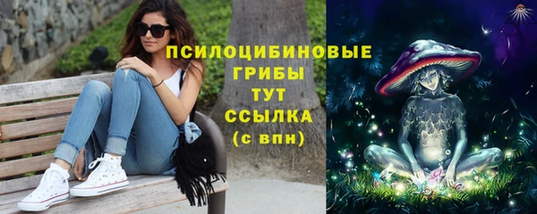 Альфа ПВП Армянск