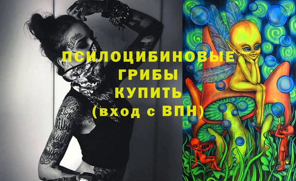 Альфа ПВП Армянск
