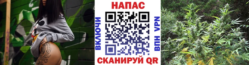 Бошки марихуана OG Kush  купить наркотик  ссылка на мегу ONION  мориарти клад  Дно 